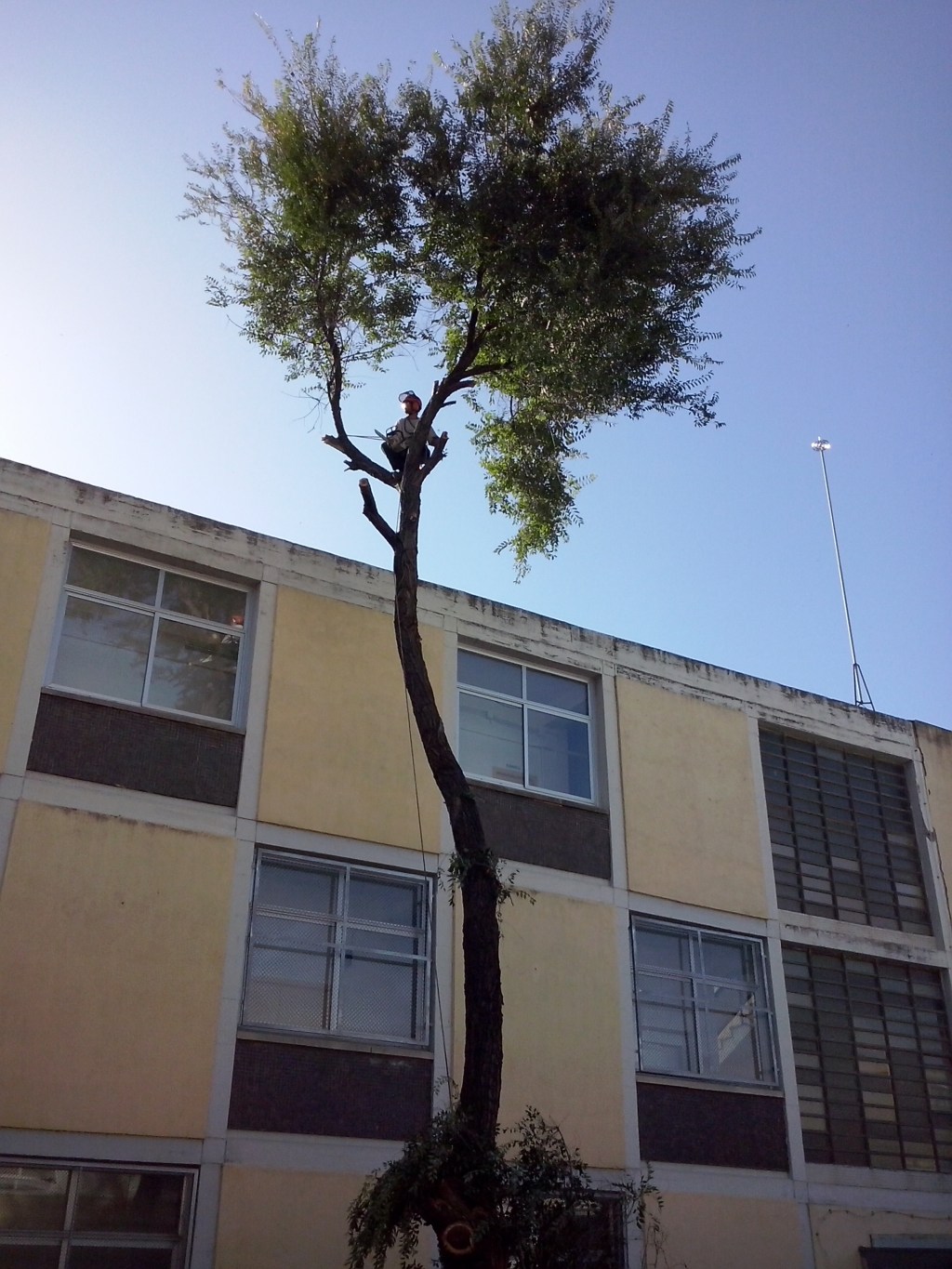 Tala per proximitat a&nbsp;edifici