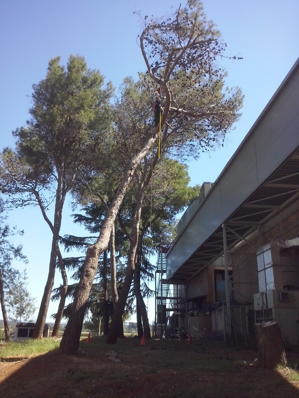 Tala per conflicte amb&nbsp;edifici