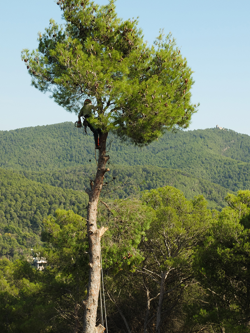 Tala en espai inaccesible per a&nbsp;plataforma
