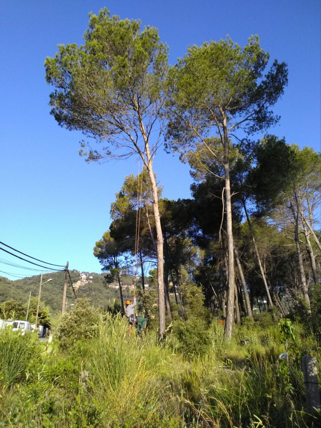 Tala per proximitat a&nbsp;cablejat