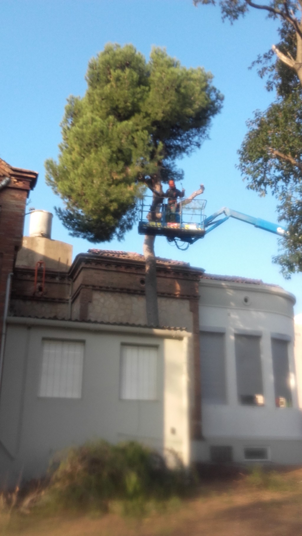 Plataforma i tirolina