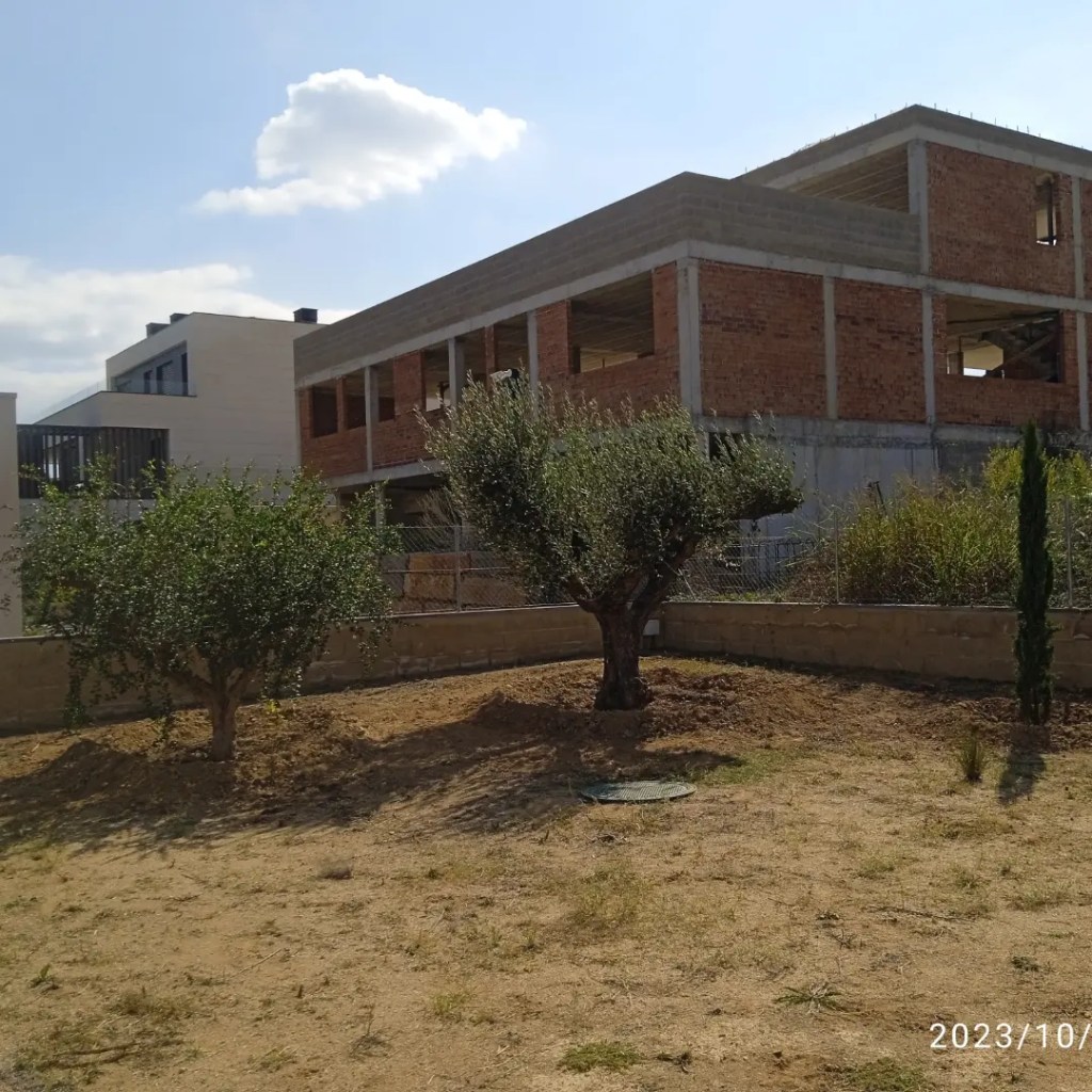 Plantació d’arbre mediterrani a&nbsp;Bellaterra