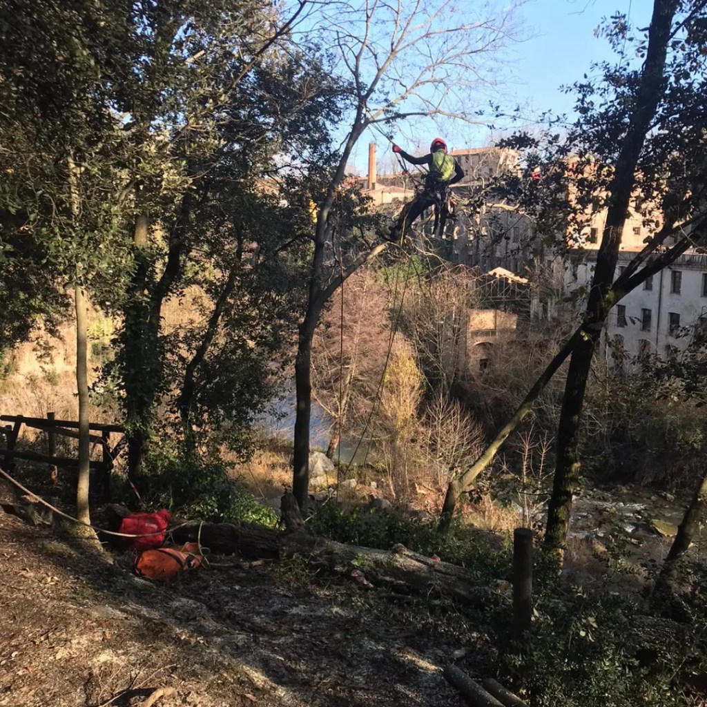 Poda per seguretat al Parc Natural de la&nbsp;Garrotxa