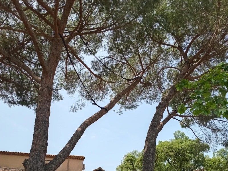 Sustentació artificial a&nbsp;Sabadell