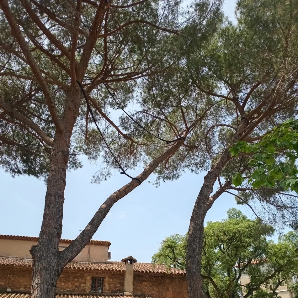 Sustentació artificial a&nbsp;Sabadell