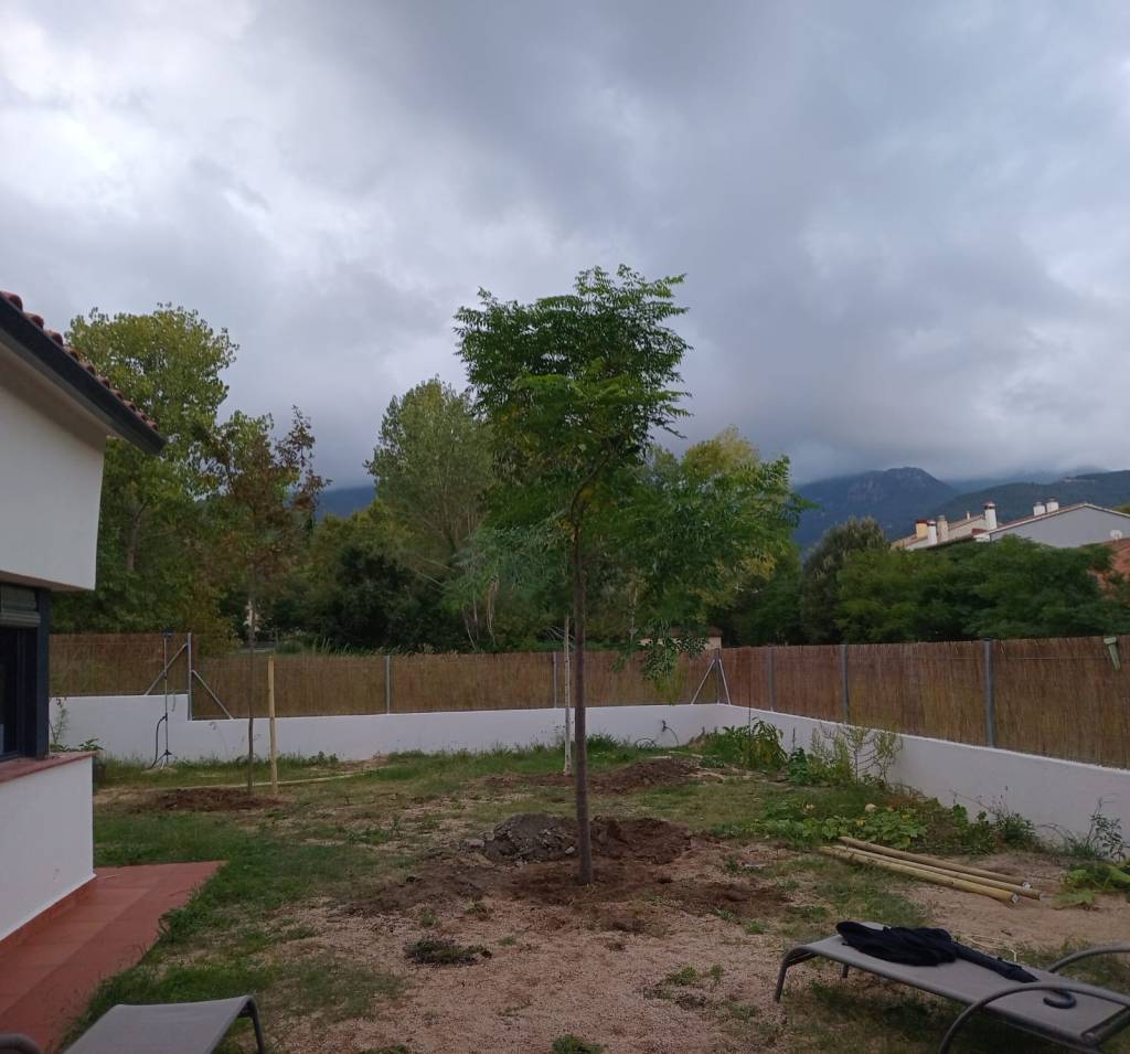 Plantació d’arbrat de clima atlàntic a&nbsp;Gualva
